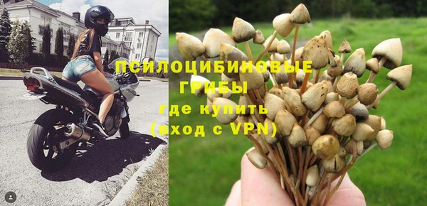 MESCALINE Абаза